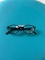 Gọng kính rayban mã ORX7093D (31)